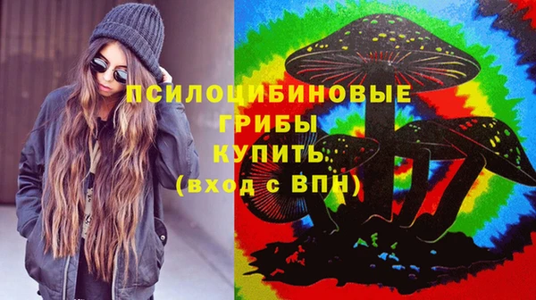 mix Богородицк