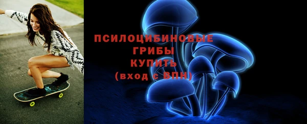крисы Богданович