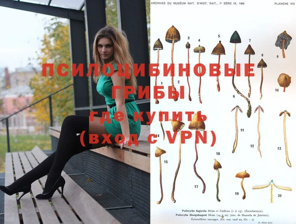 mix Богородицк