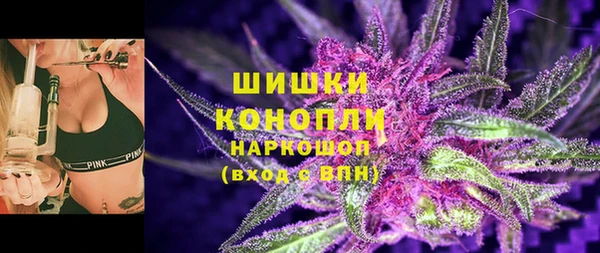mix Богородицк