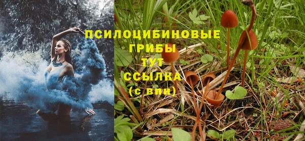 mix Богородицк