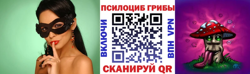 купить закладку  Нижний Новгород  hydra   Псилоцибиновые грибы MAGIC MUSHROOMS 